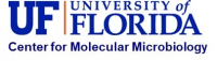 UF